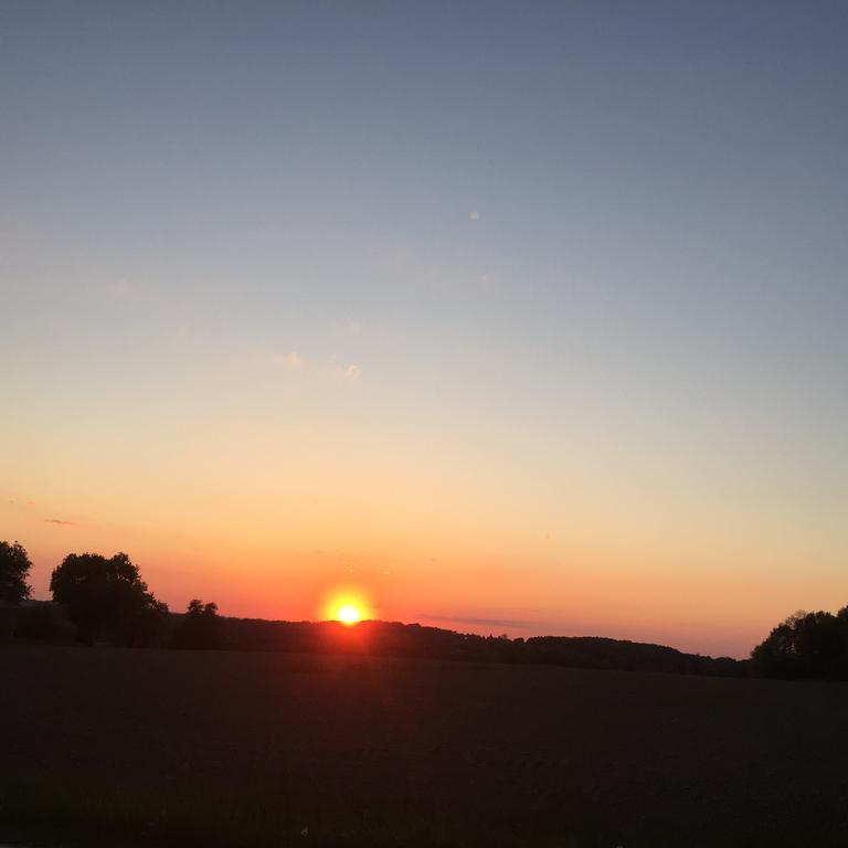 Gasthof Zur Goldenen Sonne 帕绍 外观 照片